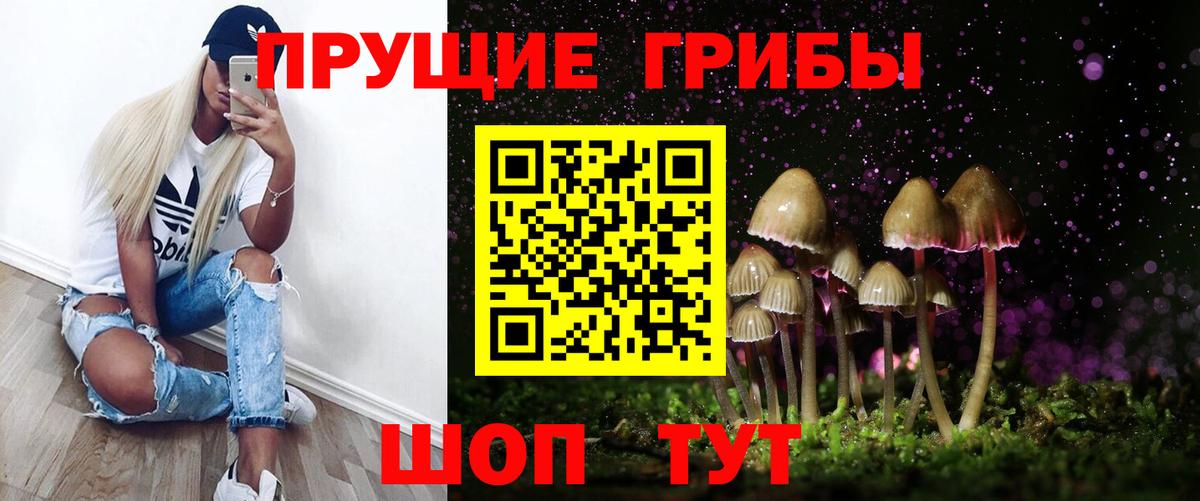 Псилоцибиновые грибы прущие грибы Дальнегорск